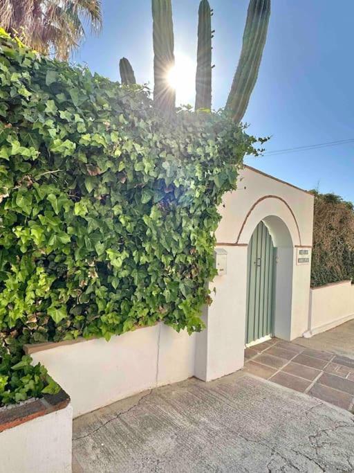 Villa Capitano -Seaviews -4 Bedrooms - La Cala لا كالا ذي ميخاس المظهر الخارجي الصورة